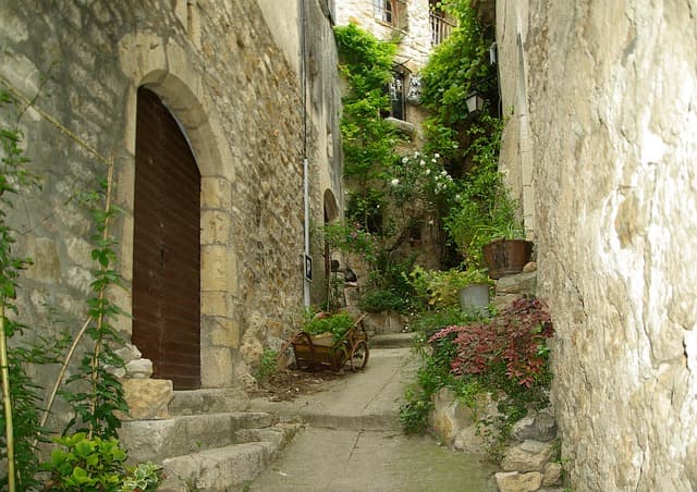 cevennes